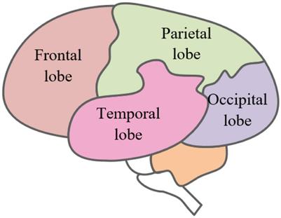 Review on Emotion Recognition Based on Electroencephalography